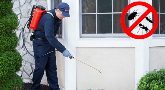 Dulkadiroğlu Kene İlaçlama böcek ilaçlama ve haşere kontrolü — ilaclama-tr.com
